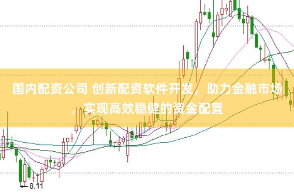 国内配资公司 创新配资软件开发，助力金融市场，实现高效稳健的资金配置