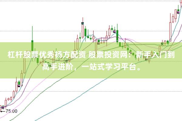 杠杆股票优秀杨方配资 股票投资网：新手入门到高手进阶，一站式学习平台。