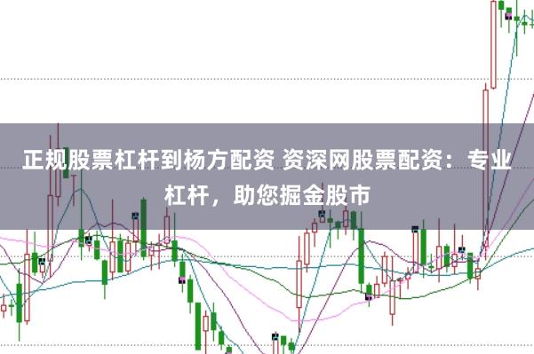 正规股票杠杆到杨方配资 资深网股票配资：专业杠杆，助您掘金股市
