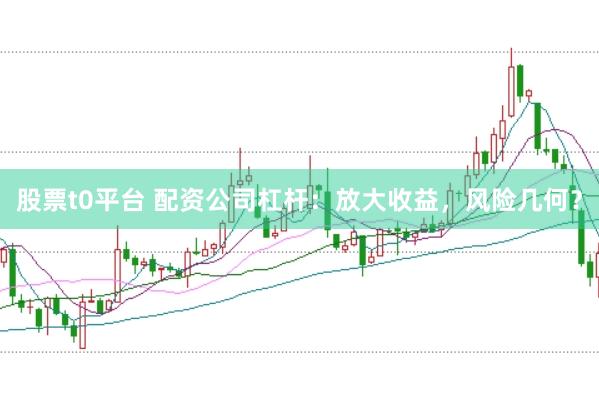 股票t0平台 配资公司杠杆：放大收益，风险几何？