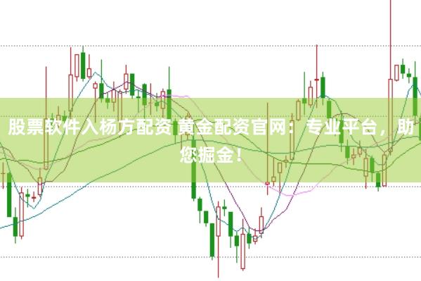 股票软件入杨方配资 黄金配资官网：专业平台，助您掘金！