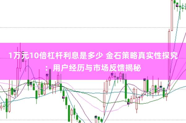 1万元10倍杠杆利息是多少 金石策略真实性探究：用户经历与市场反馈揭秘