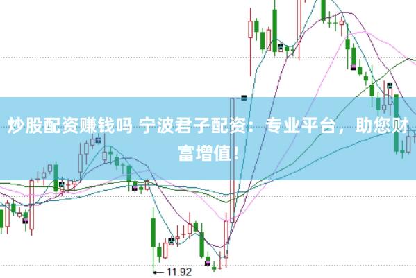 炒股配资赚钱吗 宁波君子配资：专业平台，助您财富增值！