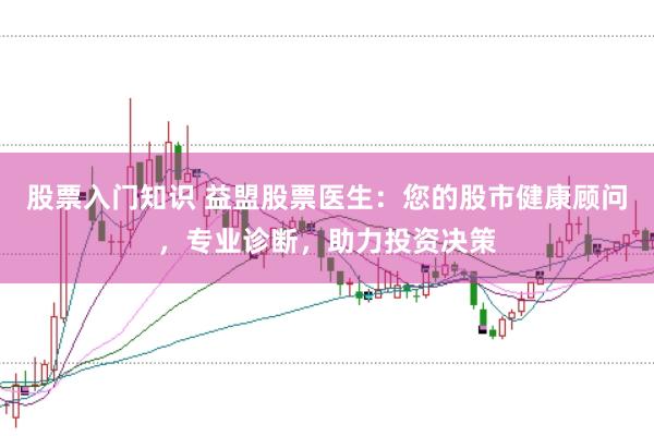股票入门知识 益盟股票医生：您的股市健康顾问，专业诊断，助力投资决策