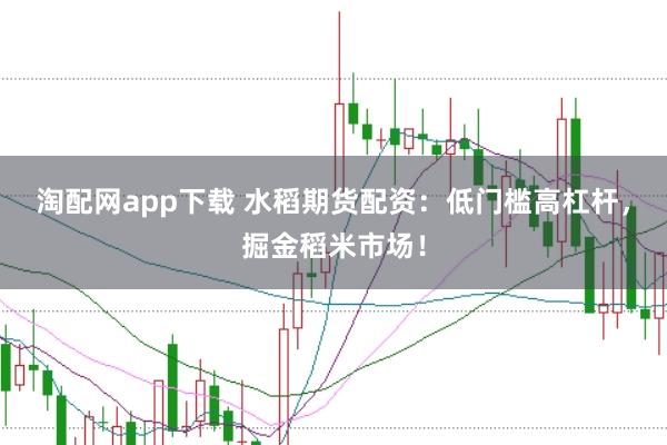 淘配网app下载 水稻期货配资：低门槛高杠杆，掘金稻米市场！