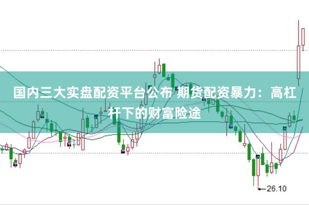 国内三大实盘配资平台公布 期货配资暴力：高杠杆下的财富险途