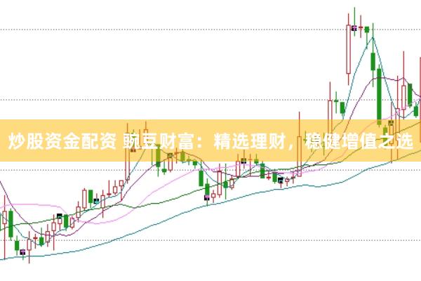 炒股资金配资 豌豆财富：精选理财，稳健增值之选