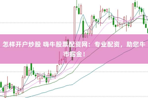 怎样开户炒股 嗨牛股票配资网：专业配资，助您牛市掘金！