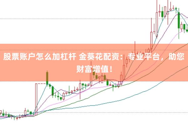 股票账户怎么加杠杆 金葵花配资：专业平台，助您财富增值！