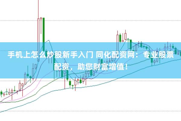 手机上怎么炒股新手入门 同化配资网：专业股票配资，助您财富增值！