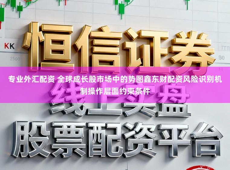 专业外汇配资 全球成长股市场中的势图鑫东财配资风险识别机制操作层面约束条件