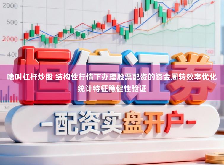 啥叫杠杆炒股 结构性行情下办理股票配资的资金周转效率优化统计特征稳健性验证